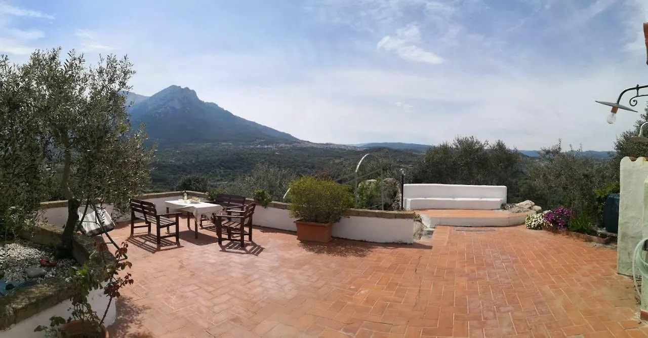 Villa L'Oleandro Oliena 0*,