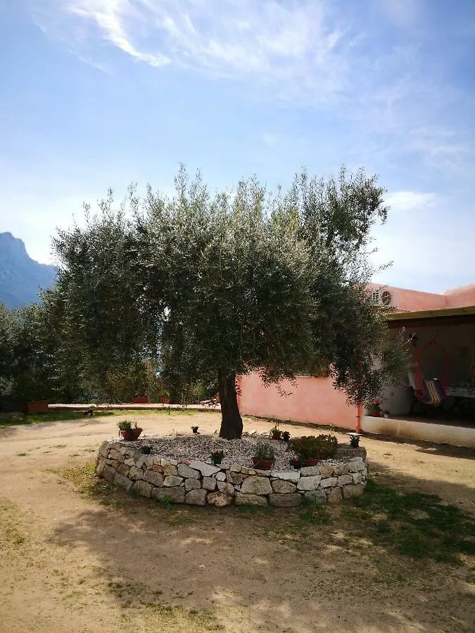 Villa L'Oleandro Oliena Country house