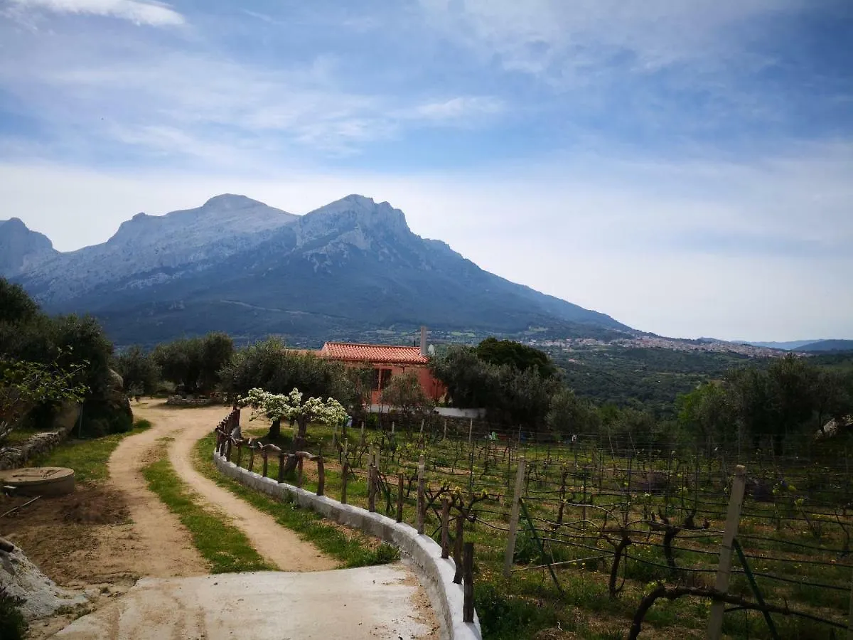 Villa L'Oleandro Oliena Italy