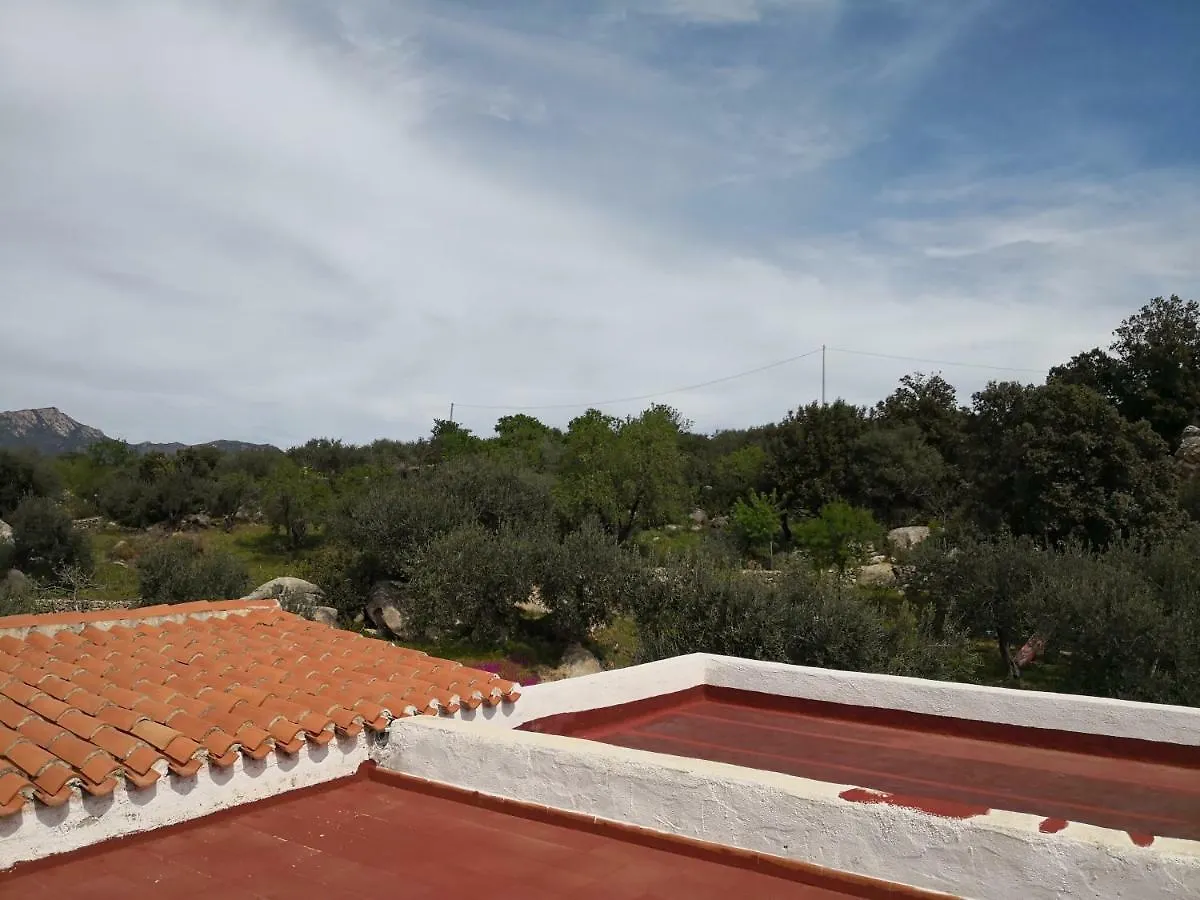 Villa L'Oleandro Oliena Country house