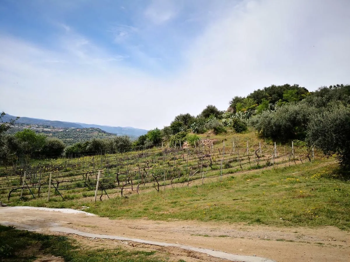 Villa L'Oleandro Oliena Country house