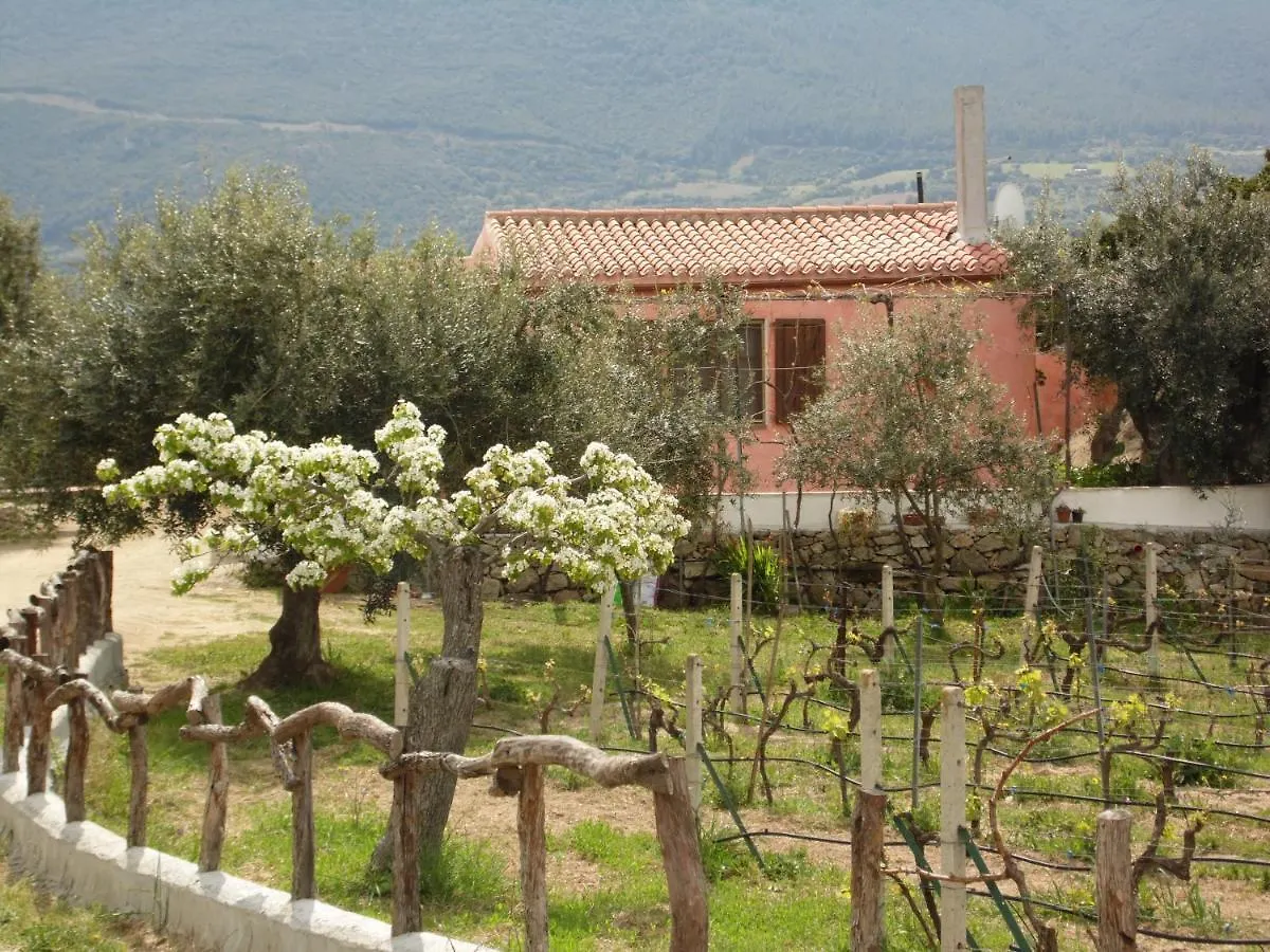Villa L'Oleandro オリエーナ 0*,  イタリア